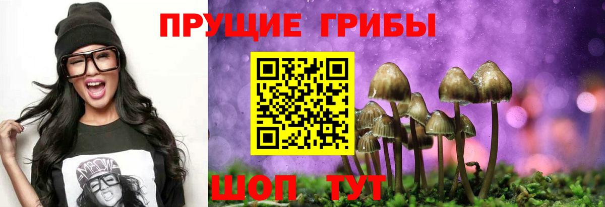 Губаха  Псилоцибиновые грибы прущие грибы  Вход с VPN  купить закладку  Псилоцибиновые грибы Psilocybine cubensis 