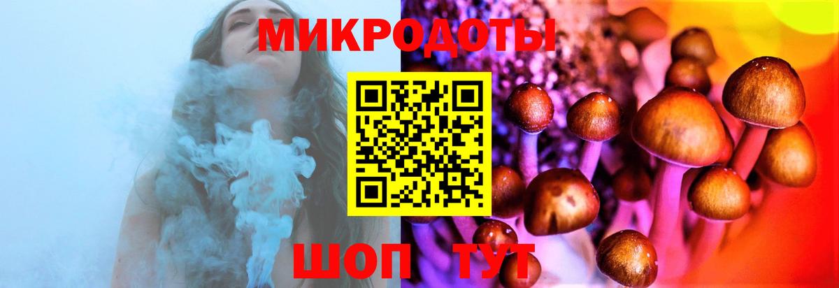 Галлюциногенные грибы Cubensis Губаха